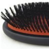 Brosse en poil de sanglier haut de gamme pour le toilettage du chien