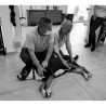 Cours de premiers secours canin (2 jours)