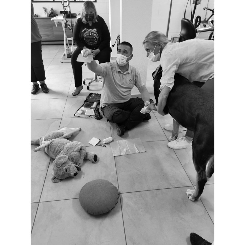 Cours de premiers secours canin (2jours)