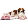 Coussin Patchwork