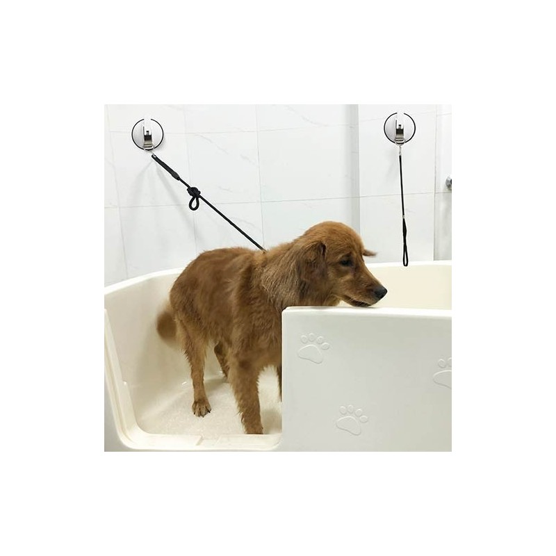 Disque avec ventouse