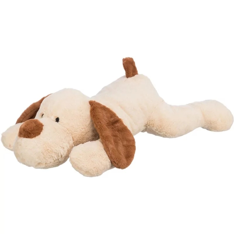 Chien câlin Benny