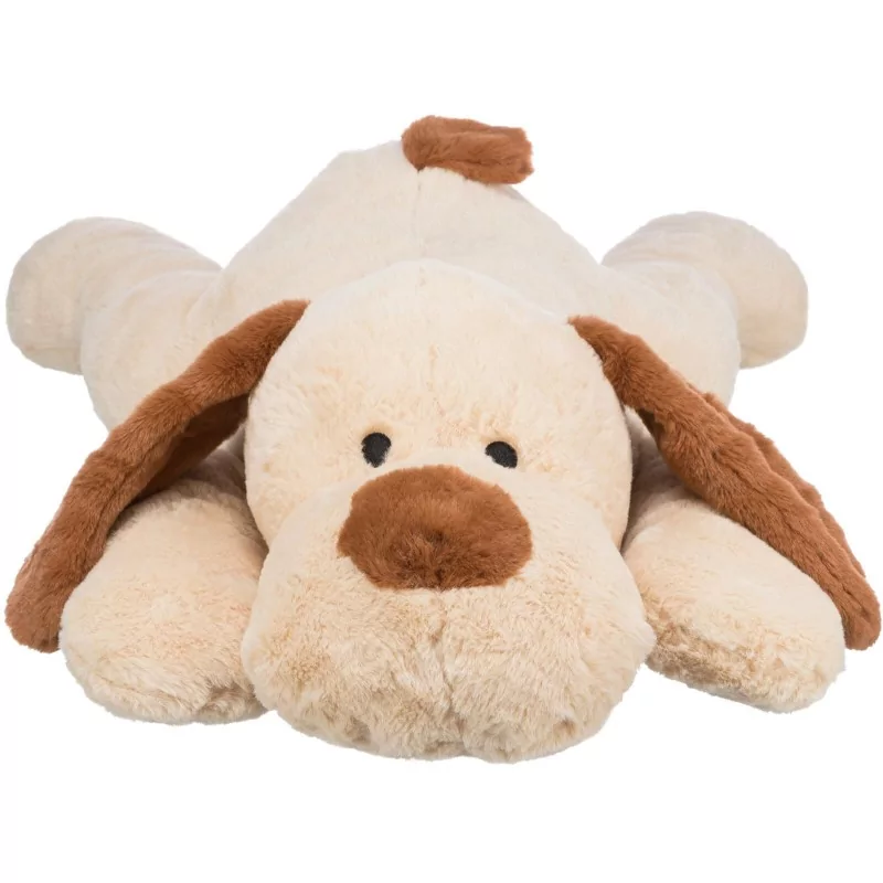 Chien câlin Benny