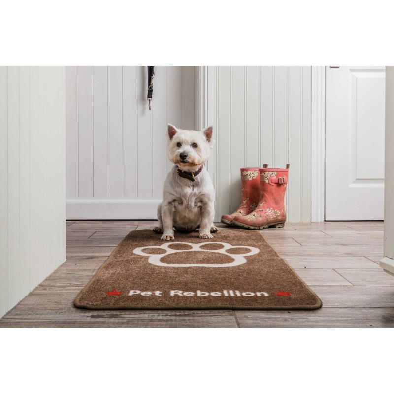 Tapis Grand Biscuit