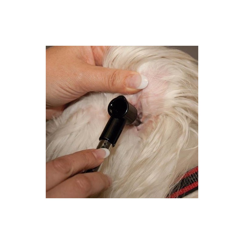 Mini Otoscope