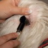 Mini Otoscope