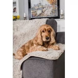 "Beige Sofaschutz" - Pet Rebellion bei Distrigroom (40 x 60 cm)