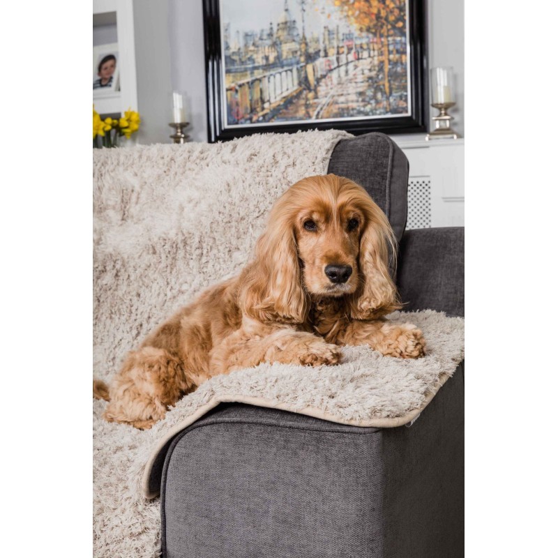 "Beige Sofaschutz" - Pet Rebellion bei Distrigroom (40 x 60 cm)