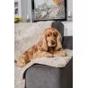 Tapis "Canapé Beige" - Pet Rebellion chez Distrigroom (40 x 60 cm)