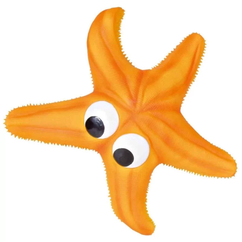 Etoile de mer