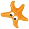 Etoile de mer