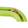 copy of Snack-Snake