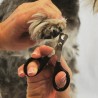 Coupe-griffe pour petit chien