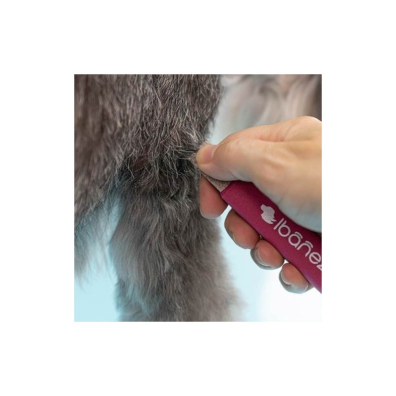 Barre à Epiller Ibanez