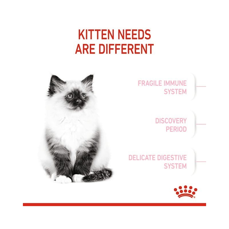 Royal Canin kitten 400gr