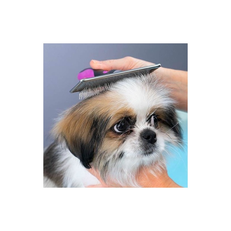 Carde Rectangulaire Sans Picots