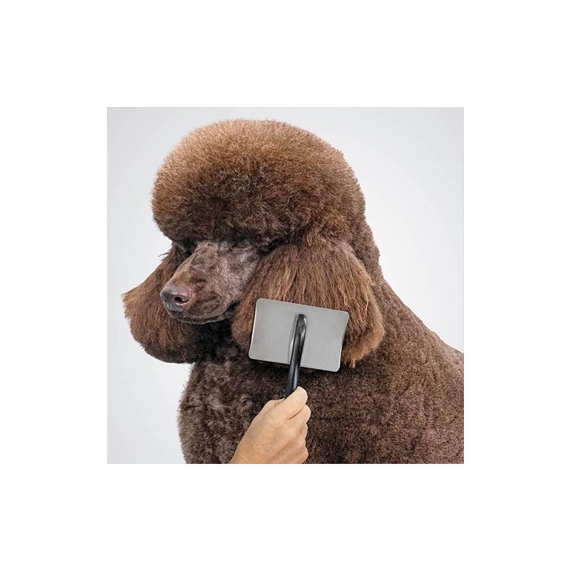 Card Infinity Silver sans picots