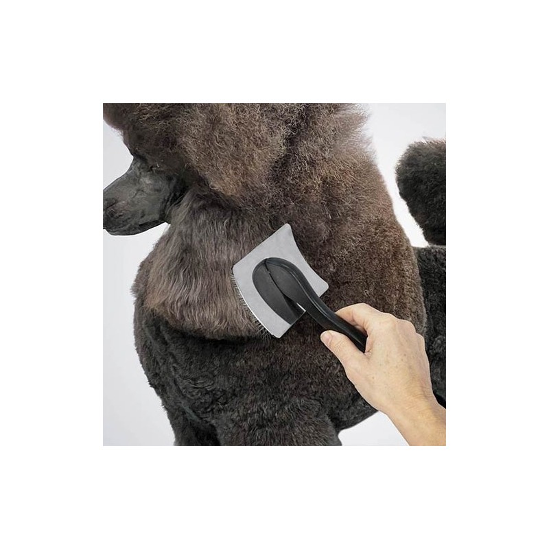 Card Infinity Silver sans picots