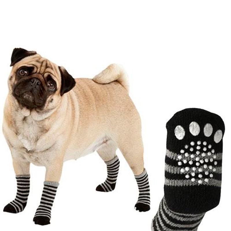 Chaussettes pour chien "FLAMINGO"