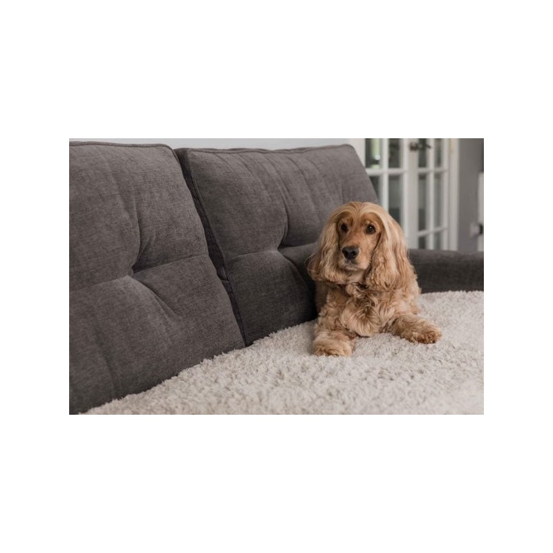 "Beiger Sofabezug" - Pet Rebellion bei Distrigroom (100 x 170 cm)
