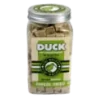 Kiwi Duck