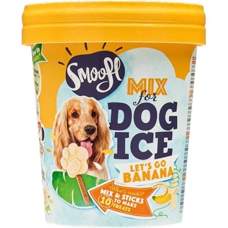 SMOOFL GLACE A LA BANANE