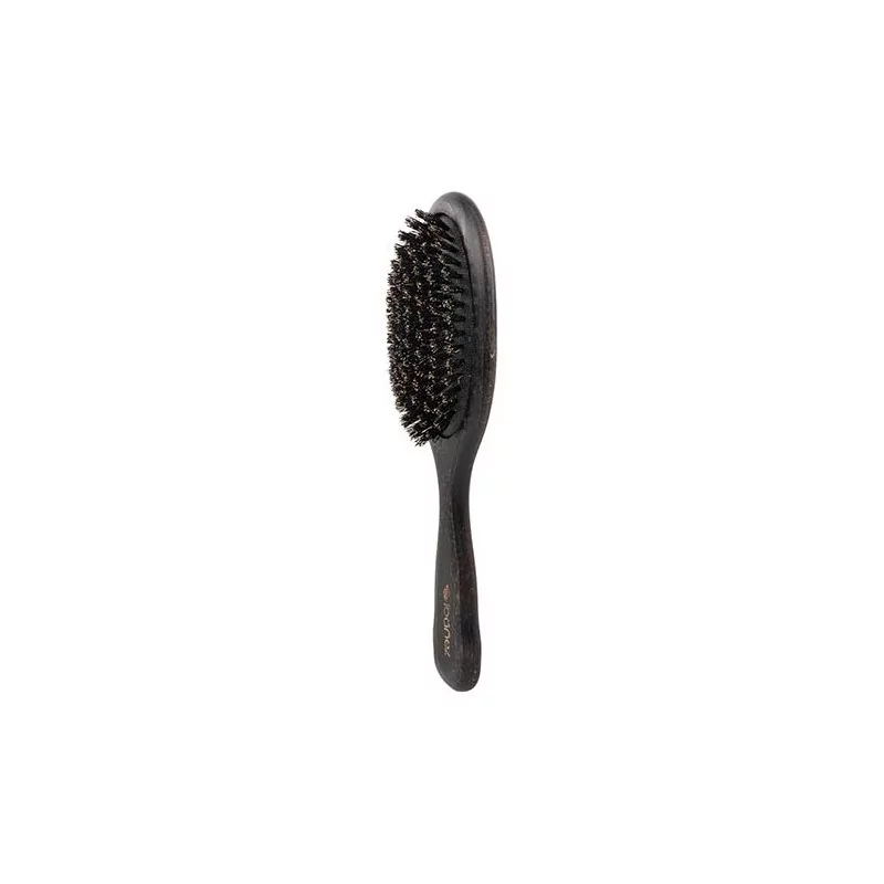 Brosse en poils naturel