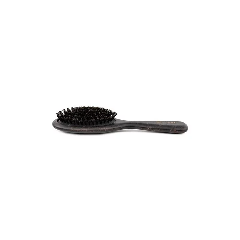 Brosse en poils naturel