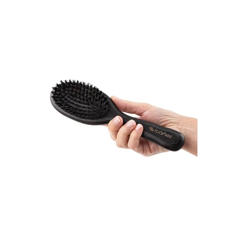 Brosse en poils naturel