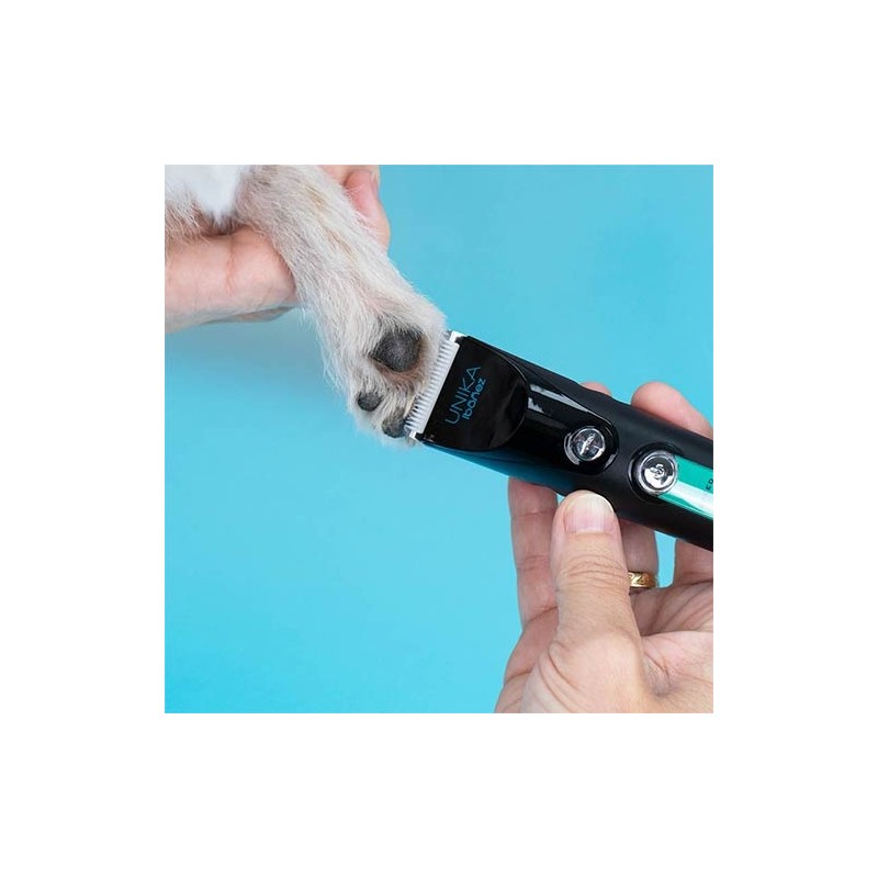 Tondeuse Ibáñez Unika – Précision Pro pour Toilettage et Vétérinaires | Distrigroom