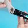 Tondeuse Ibáñez Unika – Précision Pro pour Toilettage et Vétérinaires | Distrigroom