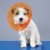 Collerette Isabelline Post-Opératoire Chiens et Chats – Couleurs Spéciales | Distrigroom