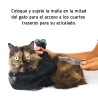 Filet de Contention pour Chats – Sécurité pour Soins et Toilettage | Distrigroom