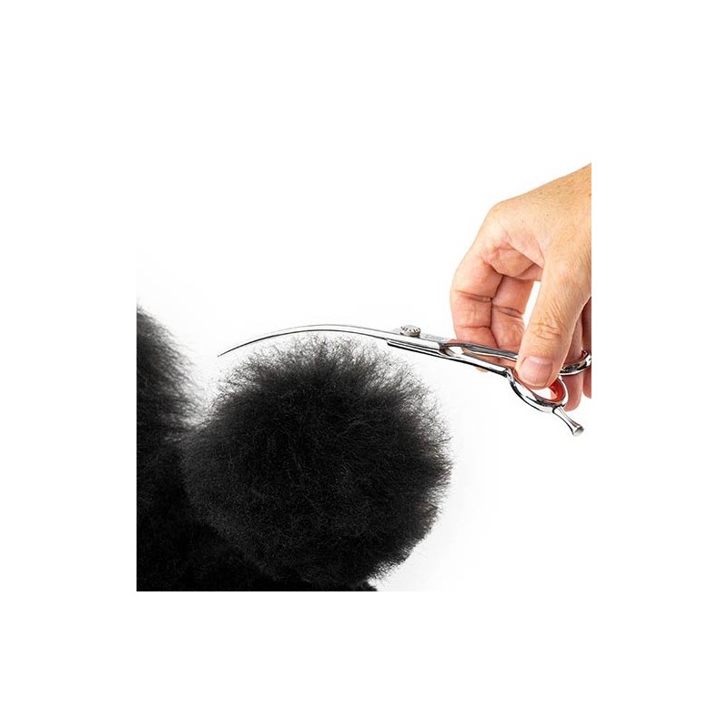 Ciseaux Supercourbes Enso 19 cm – Finitions Rondes Précises | Distrigroom