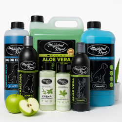 Pack Shampooing de démarrage 5L Pro