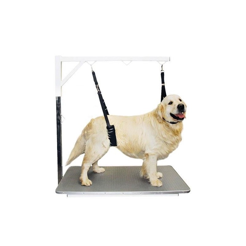 Sangle de toilettage rembourrée