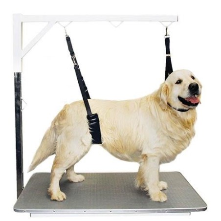 Sangle de toilettage rembourrée