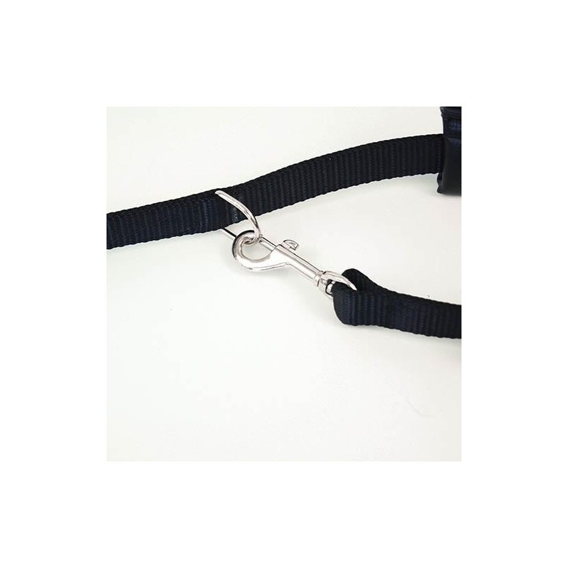 Sangle de toilettage rembourrée