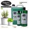 Shampooing Romarin et Menthe