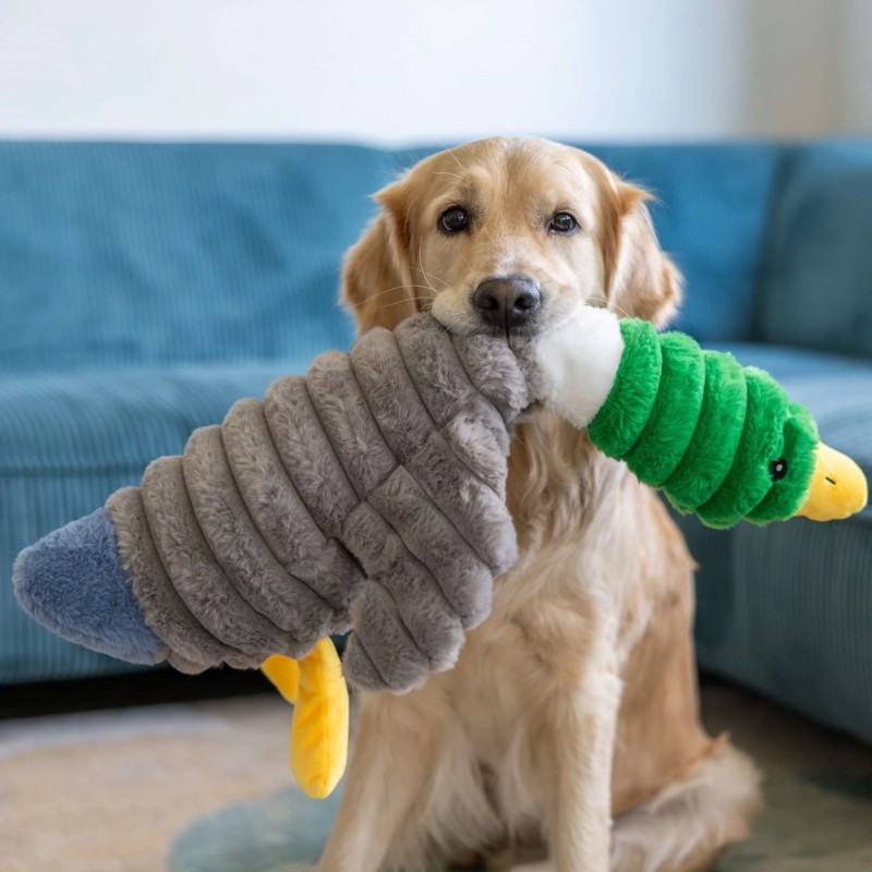 Quapas peluche canard