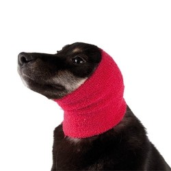 Bandage de protection anti-stress pour chien