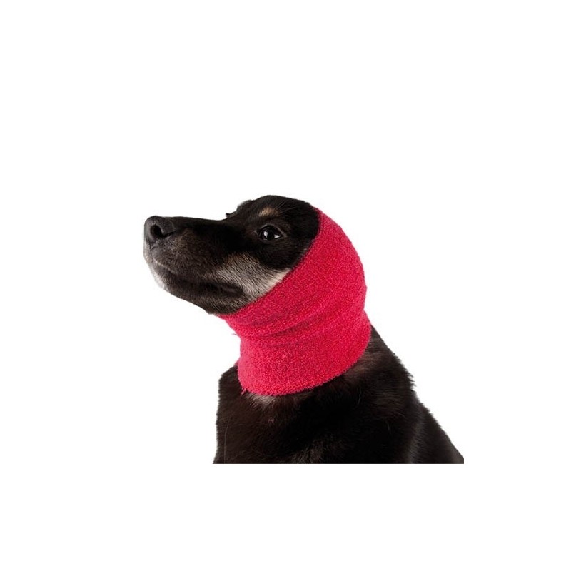 Bandage de protection anti-stress pour chien