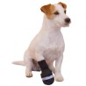 Bottes de protection imperméables pour chien "Ibáñez Rainout"