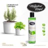 Shampooing Romarin et Menthe